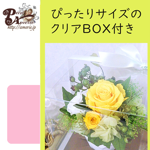 プリザーブドフラワー　ポットアレンジ