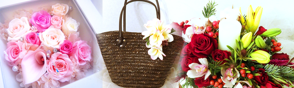 ワンデイレッスン